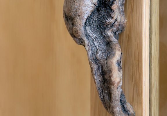 hroom_image_2_8
